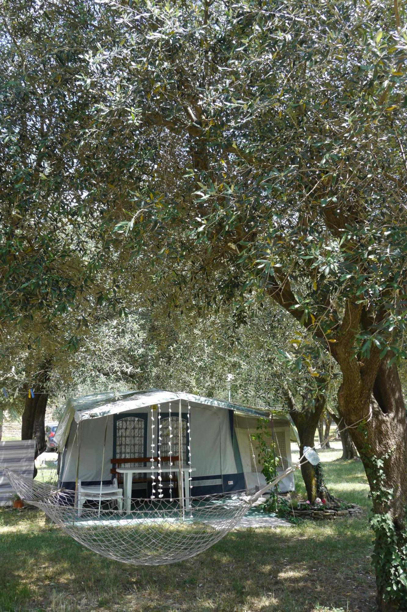 Camping Adria Ankaran - Pitches Eksteriør billede